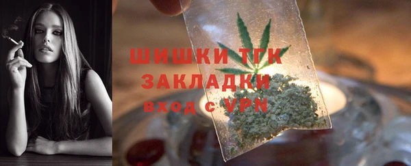 сатива Богданович