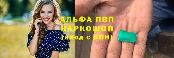 сатива Богданович
