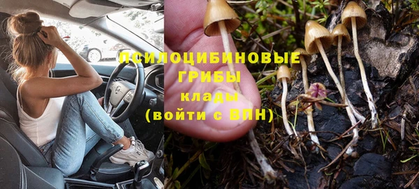 МДПВ Бронницы