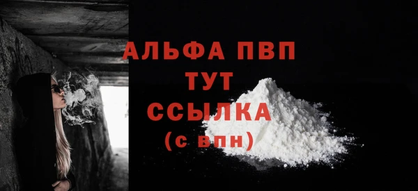 прущий лед Бородино