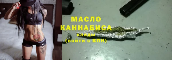 прущий лед Бородино