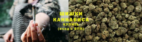 сатива Богданович