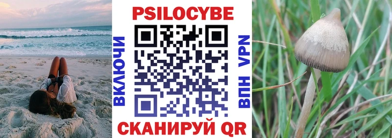 Галлюциногенные грибы MAGIC MUSHROOMS  наркошоп  Гаджиево 